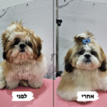 שיצו איזהשוה 5